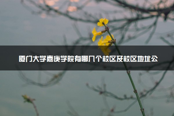 厦门大学嘉庚学院有哪几个校区及校区地址公交站点 分别都在哪里