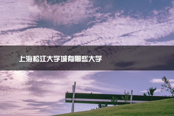 上海松江大学城有哪些大学