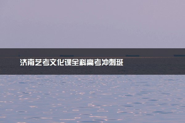 济南艺考文化课全科高考冲刺班