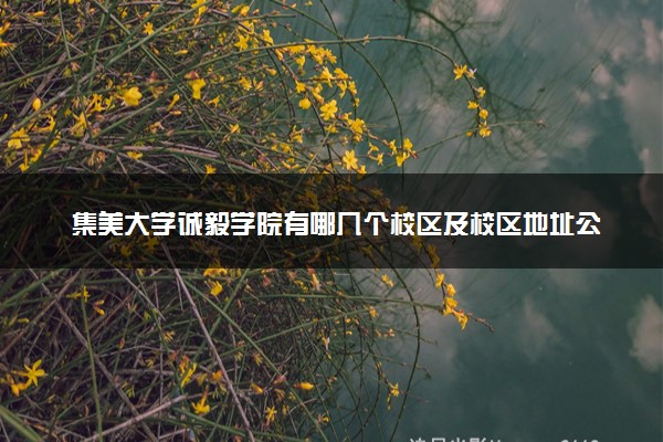 集美大学诚毅学院有哪几个校区及校区地址公交站点 分别都在哪里