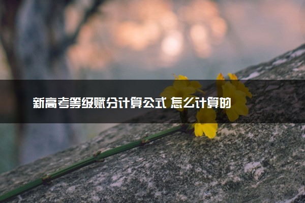 新高考等级赋分计算公式 怎么计算的