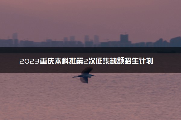 2023重庆本科批第2次征集缺额招生计划（物理类）