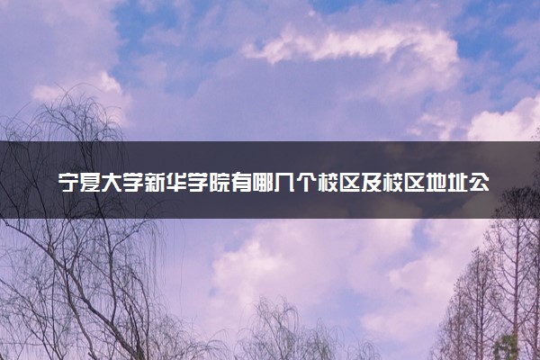 宁夏大学新华学院有哪几个校区及校区地址公交站点 分别都在哪里