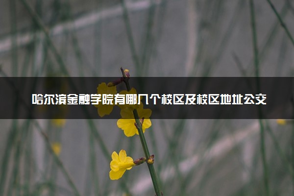 哈尔滨金融学院有哪几个校区及校区地址公交站点 分别都在哪里