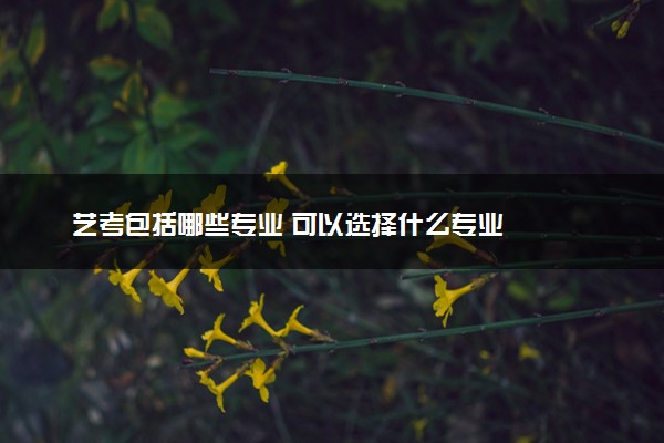 艺考包括哪些专业 可以选择什么专业