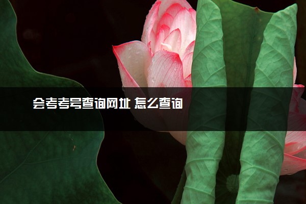 会考考号查询网址 怎么查询