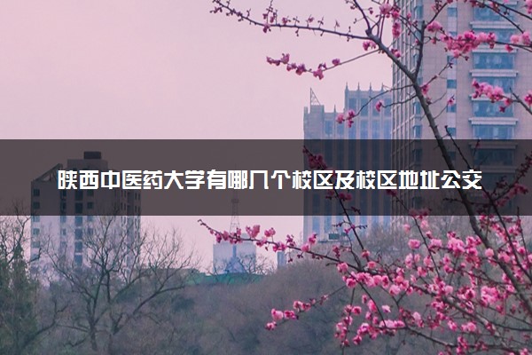 陕西中医药大学有哪几个校区及校区地址公交站点 分别都在哪里