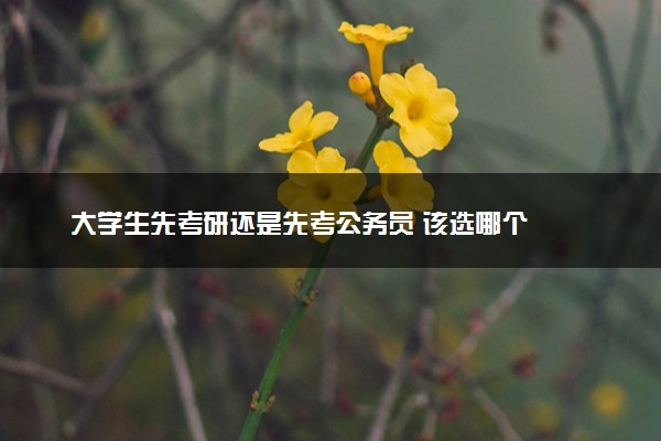 大学生先考研还是先考公务员 该选哪个