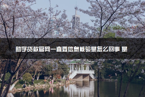 助学贷款官网一直要信息核验是怎么回事 是没通过吗