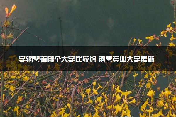 学钢琴考哪个大学比较好 钢琴专业大学最新排名