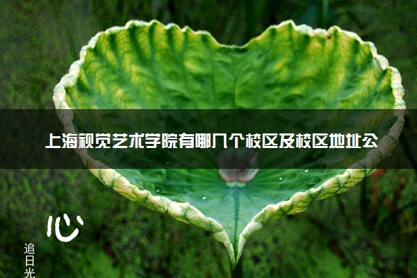 上海视觉艺术学院有哪几个校区及校区地址公交站点 分别都在哪里