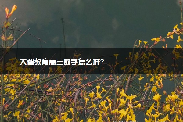 大智教育高三数学怎么样？
