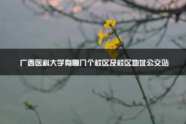 广西医科大学有哪几个校区及校区地址公交站点 分别都在哪里