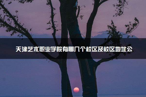 天津艺术职业学院有哪几个校区及校区地址公交站点 分别都在哪里