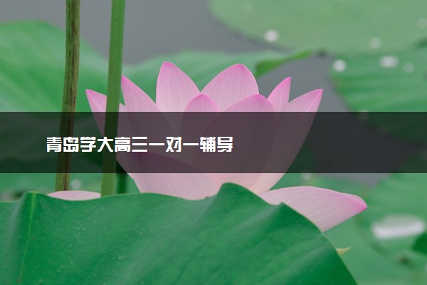 青岛学大高三一对一辅导
