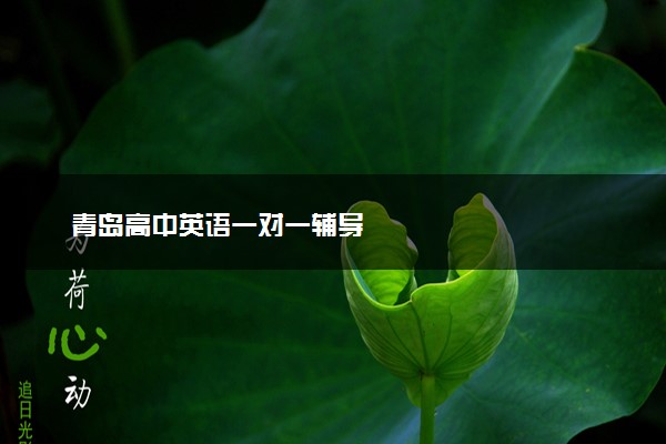 青岛高中英语一对一辅导