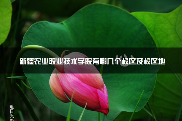 新疆农业职业技术学院有哪几个校区及校区地址公交站点 分别都在哪里