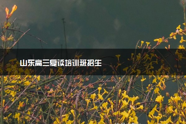 山东高三复读培训班招生