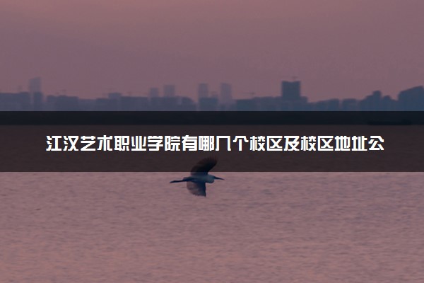 江汉艺术职业学院有哪几个校区及校区地址公交站点 分别都在哪里