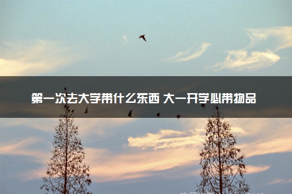 第一次去大学带什么东西 大一开学必带物品