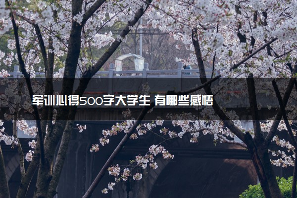 军训心得500字大学生 有哪些感悟