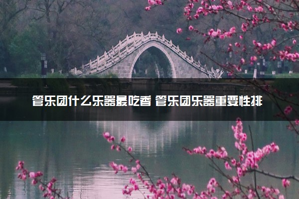 管乐团什么乐器最吃香 管乐团乐器重要性排位
