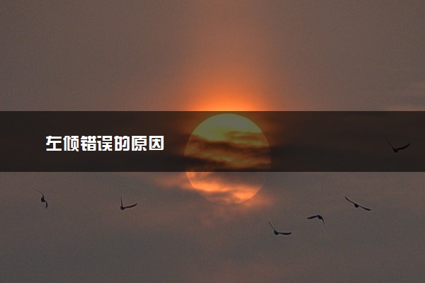 左倾错误的原因