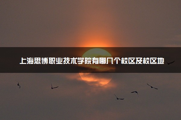 上海思博职业技术学院有哪几个校区及校区地址公交站点 分别都在哪里