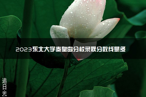 2023东北大学秦皇岛分校录取分数线是多少 各省历年最低分数线