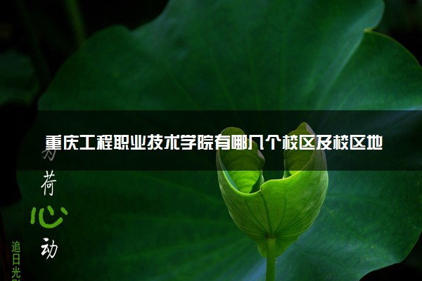 重庆工程职业技术学院有哪几个校区及校区地址公交站点 分别都在哪里