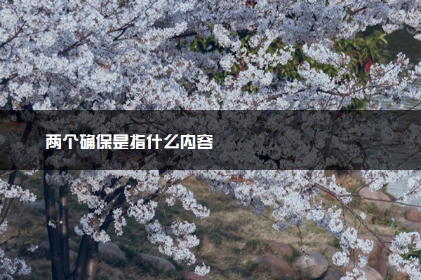 两个确保是指什么内容