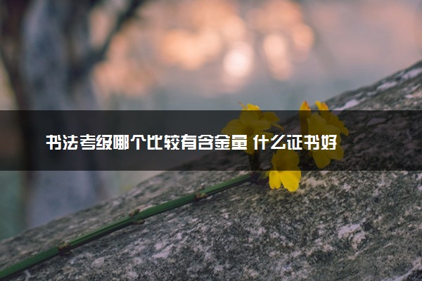 书法考级哪个比较有含金量 什么证书好