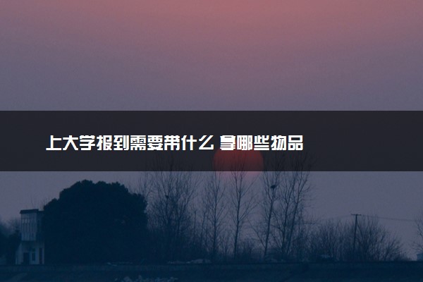上大学报到需要带什么 拿哪些物品