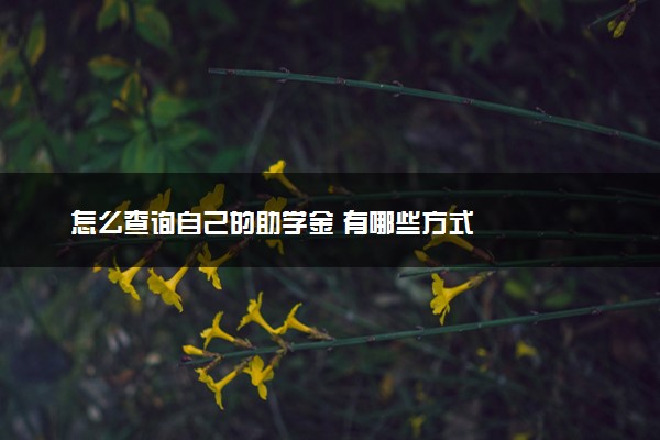 怎么查询自己的助学金 有哪些方式