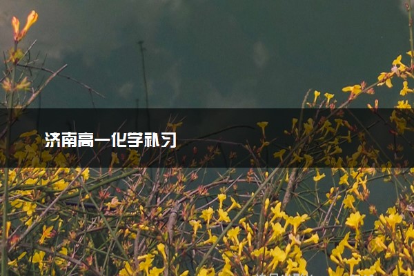 济南高一化学补习