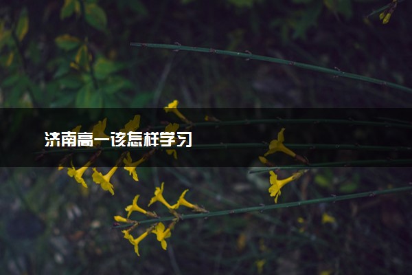 济南高一该怎样学习