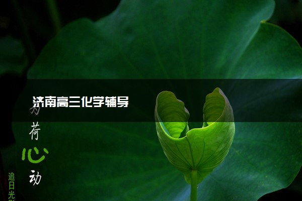 济南高三化学辅导