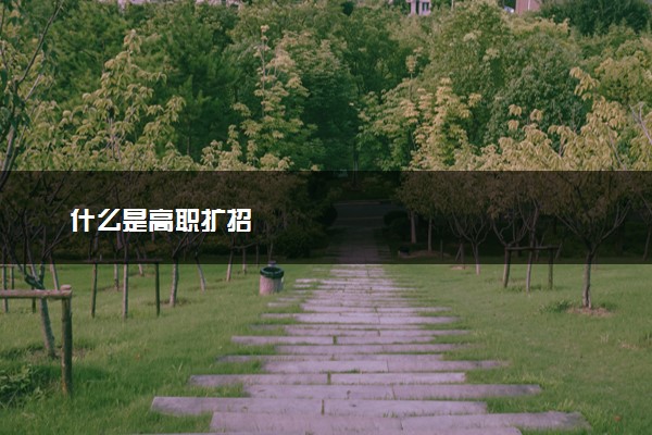 什么是高职扩招