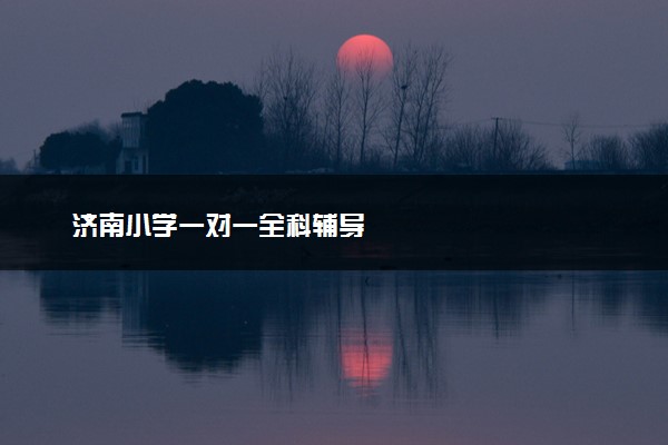 济南小学一对一全科辅导
