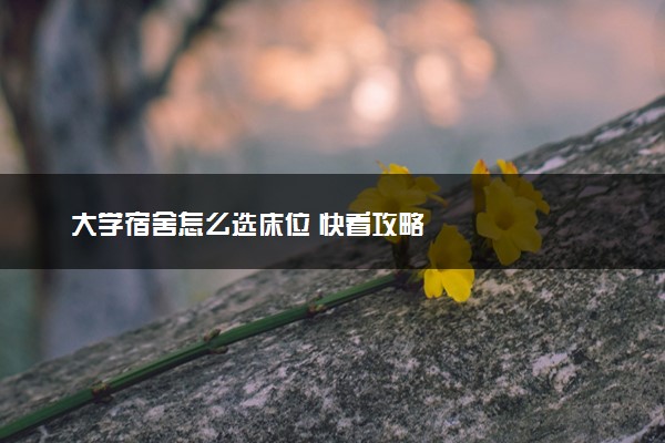 大学宿舍怎么选床位 快看攻略
