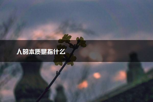 人的本质是指什么
