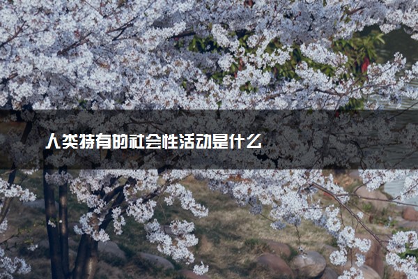 人类特有的社会性活动是什么