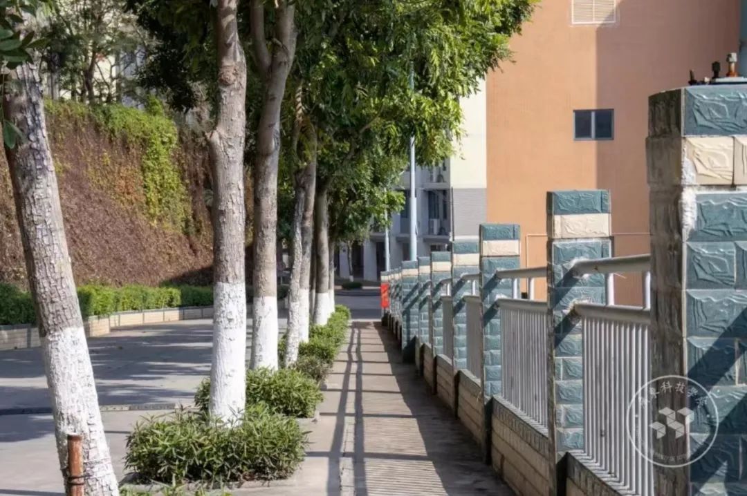 广东科技学院继续教育学院等你来