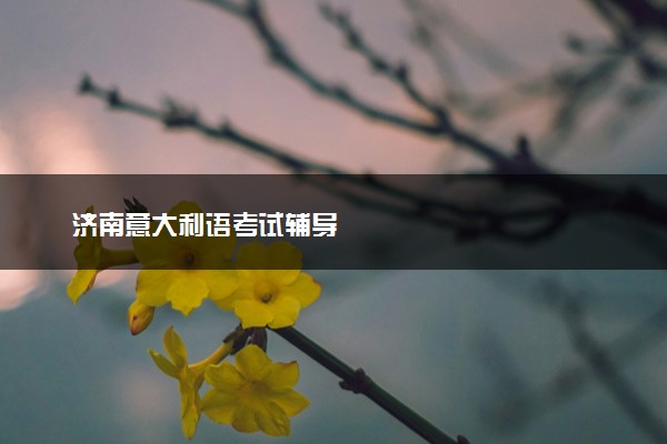 济南意大利语考试辅导