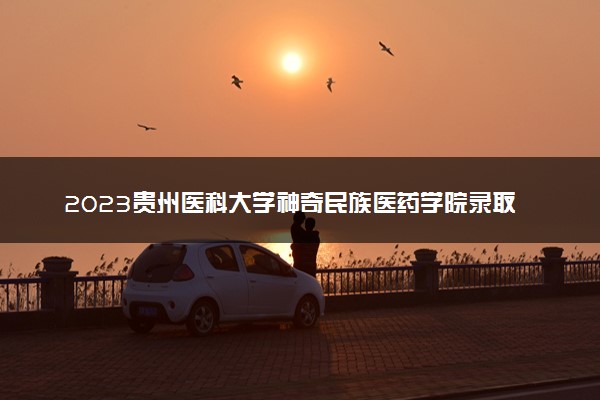 2023贵州医科大学神奇民族医药学院录取分数线是多少 各省历年最低分数线