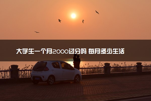 大学生一个月2000过分吗 每月多少生活费合适