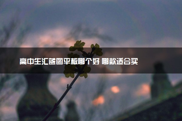 高中生汇蓝图平板哪个好 哪款适合买
