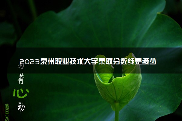 2023泉州职业技术大学录取分数线是多少 各省历年最低分数线