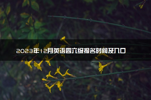2023年12月英语四六级报名时间及入口