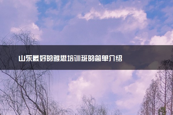 山东最好的雅思培训班的简单介绍